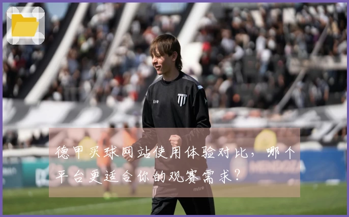 德甲买球网站使用体验对比，哪个平台更适合你的观赛需求？