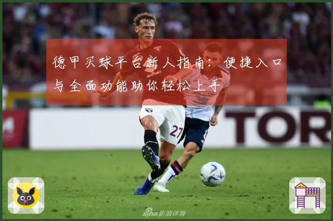 德甲买球平台新人指南：便捷入口与全面功能助你轻松上手