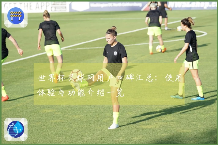 世界杯买球网用户口碑汇总：使用体验与功能介绍一览